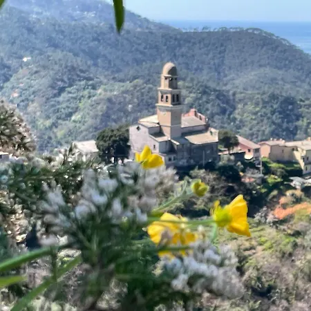 Terrazza Dolce